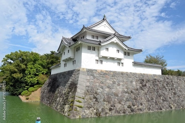 Obraz 駿府城 坤櫓