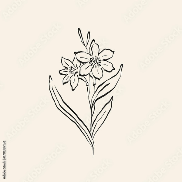 Obraz Botanical drawing. Minimal plant logo, botanical graphic sketch drawing,  meadow greenery, leaf and blooming flower abstract sketch element collection, rustic branch. Trendy tiny tattoo design, floral