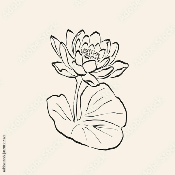 Obraz Botanical drawing. Minimal plant logo, botanical graphic sketch drawing,  meadow greenery, leaf and blooming flower abstract sketch element collection, rustic branch. Trendy tiny tattoo design, floral