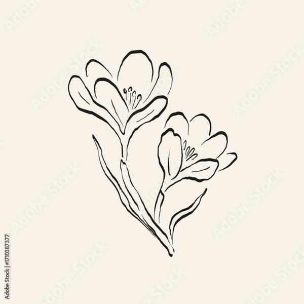 Obraz Botanical drawing. Minimal plant logo, botanical graphic sketch drawing,  meadow greenery, leaf and blooming flower abstract sketch element collection, rustic branch. Trendy tiny tattoo design, floral