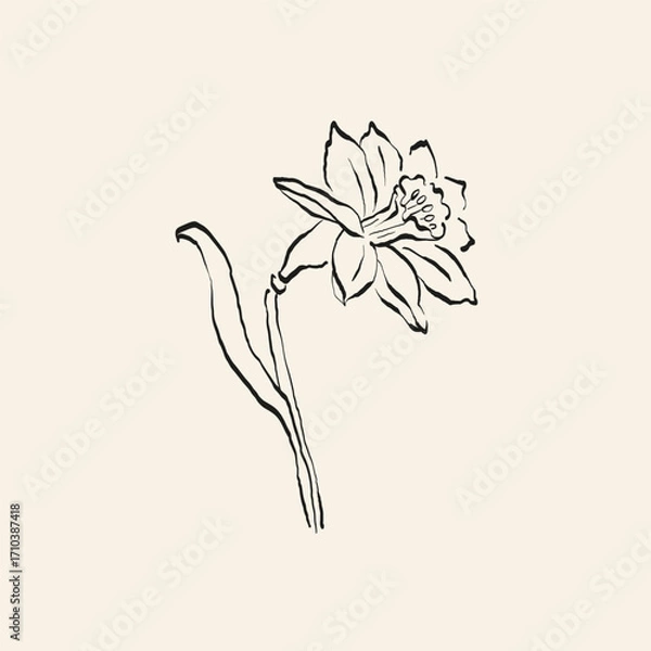 Obraz Botanical drawing. Minimal plant logo, botanical graphic sketch drawing,  meadow greenery, leaf and blooming flower abstract sketch element collection, rustic branch. Trendy tiny tattoo design, floral