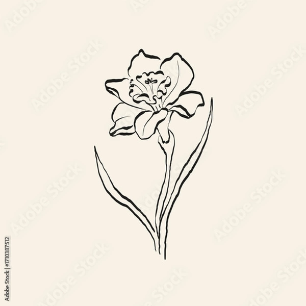 Obraz Botanical drawing. Minimal plant logo, botanical graphic sketch drawing,  meadow greenery, leaf and blooming flower abstract sketch element collection, rustic branch. Trendy tiny tattoo design, floral