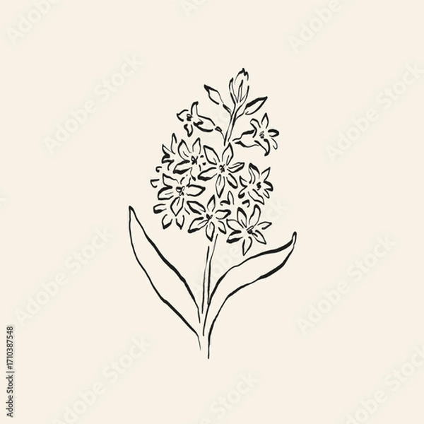 Obraz Botanical drawing. Minimal plant logo, botanical graphic sketch drawing,  meadow greenery, leaf and blooming flower abstract sketch element collection, rustic branch. Trendy tiny tattoo design, floral