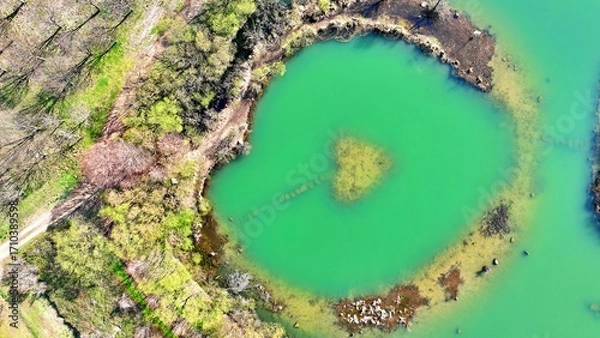 Obraz 녹조가 만든 녹색의 강