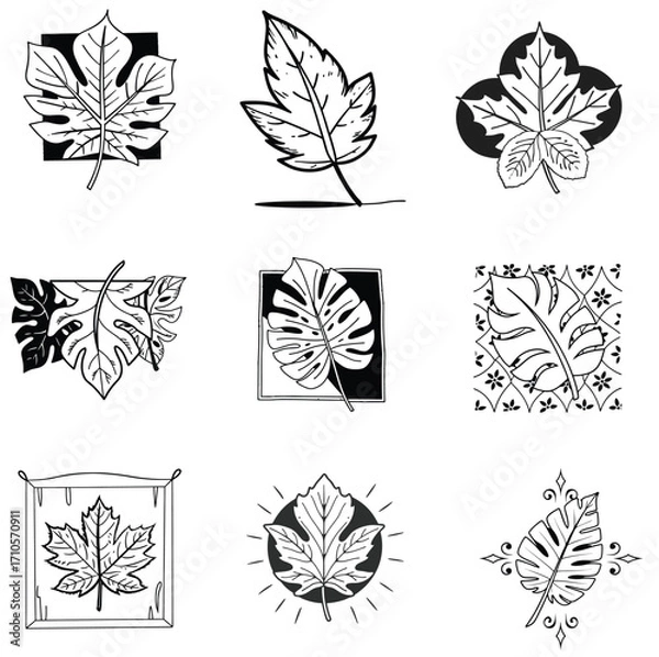 Fototapeta A black and white icons set and a leaf flower design