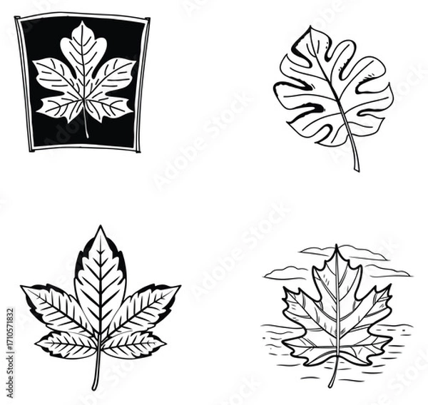 Fototapeta Abstract set of vector leaf design