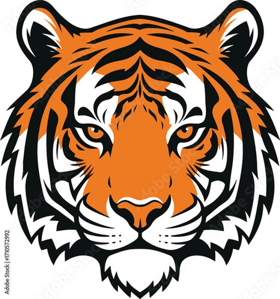 Fototapeta vector illustration of a tiger