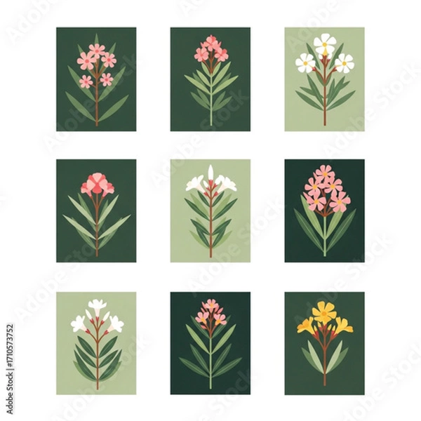 Fototapeta Collection of Stylized Oleander Flower Illustrations in Various Colors and Backgrounds.