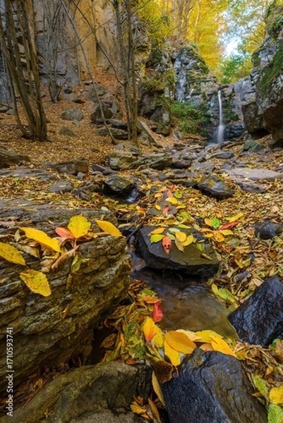 Fototapeta Small waterfall in a rocky forest canyon surrounded by vibrant autumn foliage. Colorful fallen leaves cover the stream and ground, creating a peaceful seasonal landscape.