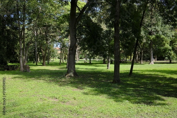 Fototapeta Parco cittadino in settembre