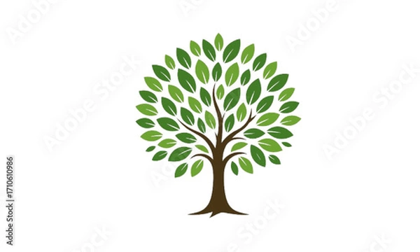 Fototapeta green tree isolated on white