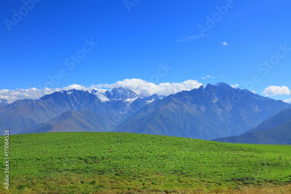Fototapeta potato field in the high mountains