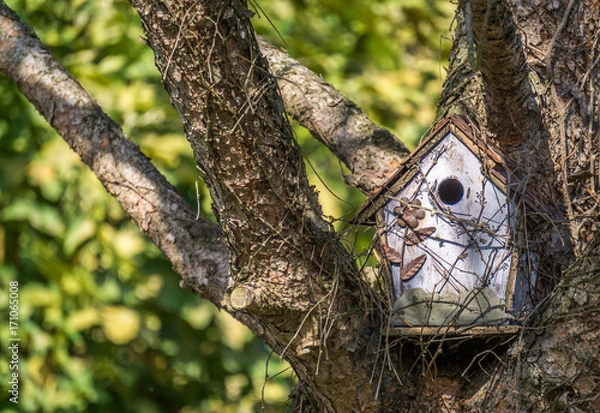 Obraz Caseta para pájaros