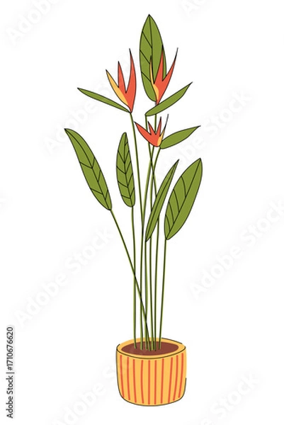 Fototapeta Bird of paradise houseplant in an orange pot. Tropical flower strelitzia for room decor isolated on white background. Flat vector using outline. Hand drawn.