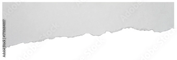 Fototapeta Torn paper element with soft rough border isolated