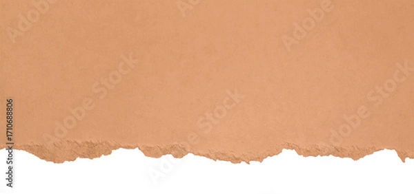Fototapeta horizontal cardboard strips with ripped edges
