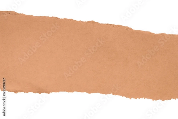 Fototapeta Brown kraft paper rectangle with soft torn edge