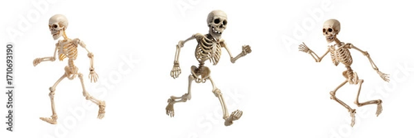 Fototapeta Running skeletons in motion digital illustration concept
