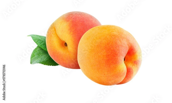 Fototapeta Three fresh ripe apricots with juicy yellow and orange flesh are isolated on a white background