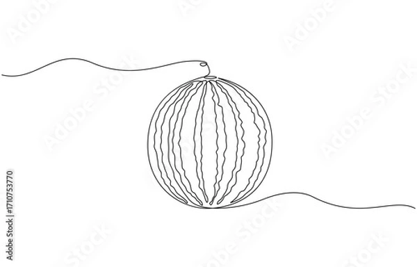 Fototapeta Continuous one line drawing water melon fruit. juicy summer fruit concept, watermelon. modern minimalist art,  decorative elements drawn on a transparent background.