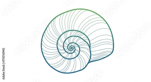 Fototapeta Elegant seashell illustration, showcasing intricate patterns and textures, perfect for coastal designs and natureinspired projects