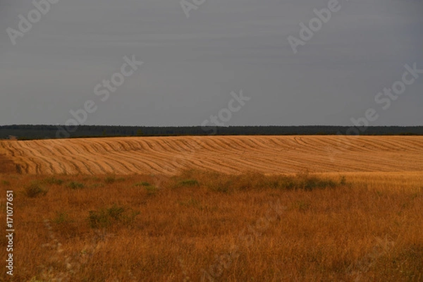 Obraz AMANECE EN EL CAMPO