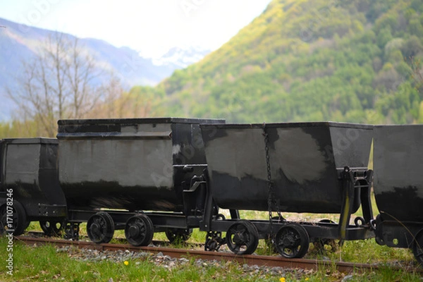 Obraz VAGONES CON CARBON