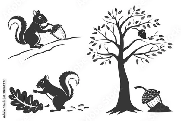 Fototapeta squirrel on tree