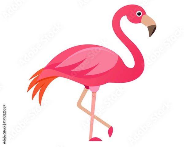 Obraz Pink flamingo  icon,Pink flamingo vector on white background