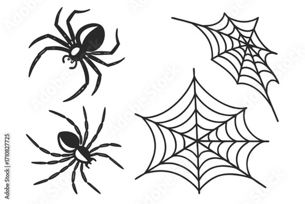 Obraz spider and web