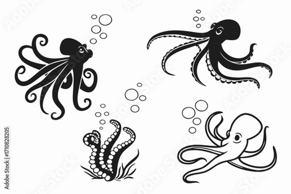 Fototapeta set of sea animals