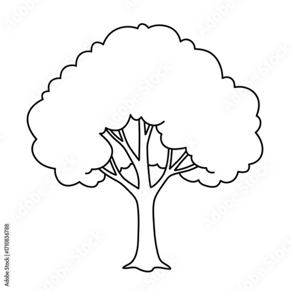Fototapeta Simple drawing of a leafy tree with detailed branches black silhouette
