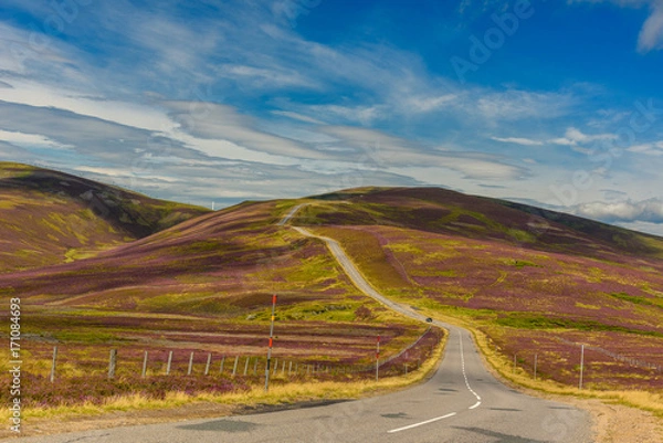 Fototapeta View of Cairngorms National Park