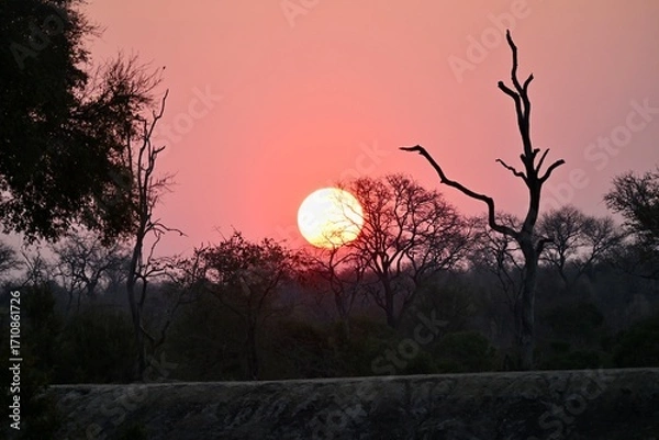 Obraz sunset in african safari