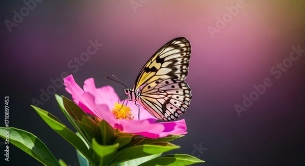 Obraz Moody Nature Scene Featuring Butterfly Perched on Flower with Colorful Bokeh