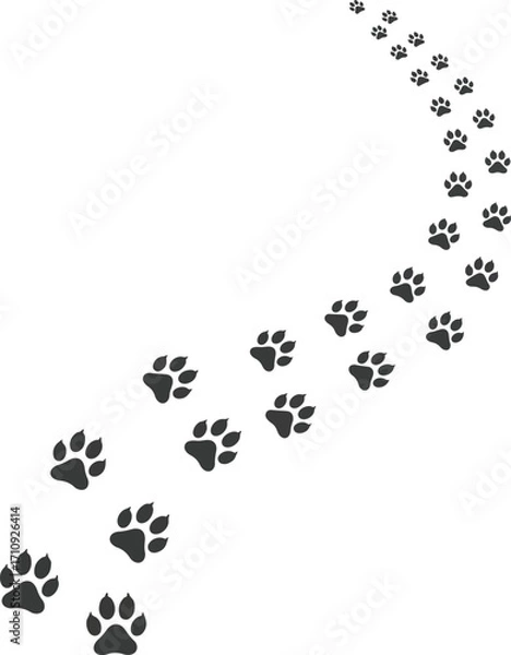 Obraz Path of Paw Prints with Rounded Pads, Vector Illustration of an Animal Trail on a White Background