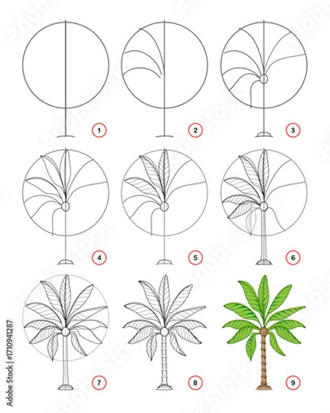 Fototapeta Page shows how to draw step by step a decorative palm tree. Developing children skills for drawing and coloring. Printable worksheet for kids school exercise book. Flat vector illustration.
