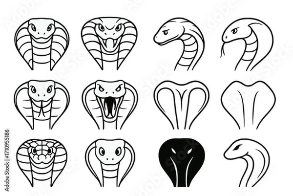Fototapeta Cobra Icon Designs. Line style icons of cobra head designs: hooded cobra, flared hood face, side profile cobra, frontal cobra;