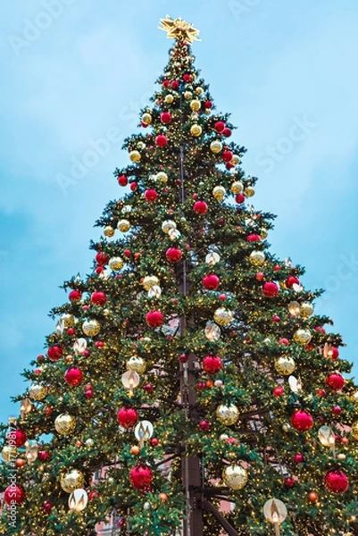 Fototapeta A large city Christmas tree decorated with red and yellow balls and glowing garlands against the background of the evening sky, a magical holiday atmosphere