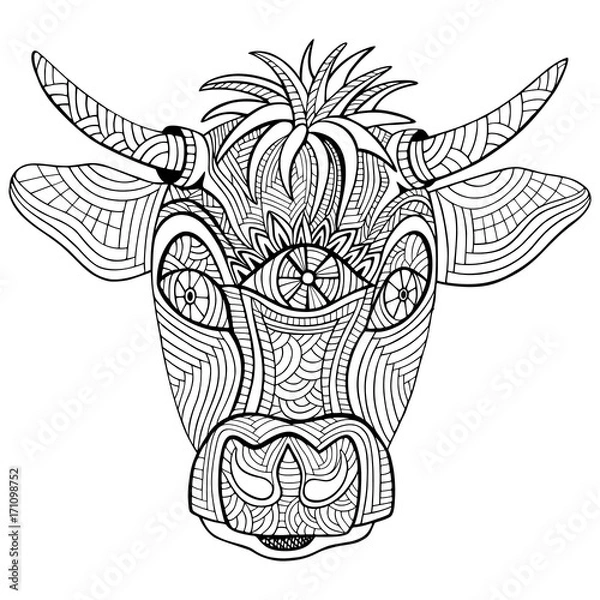 Obraz Hand-drawn head of cow. Zentangle and doodle style. Coloring book or tattoo. Vector illustration.