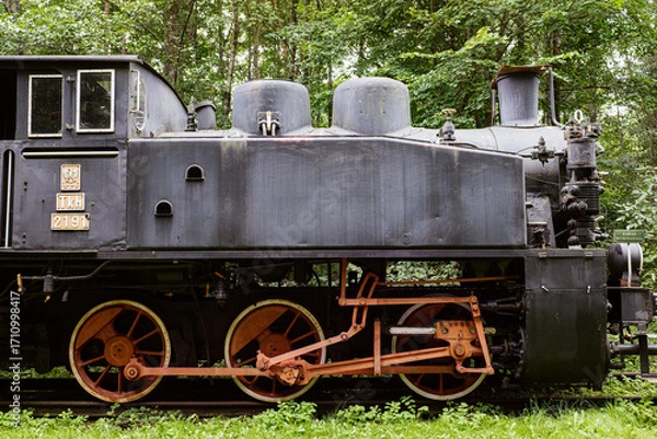 Fototapeta Polska, Podlasie