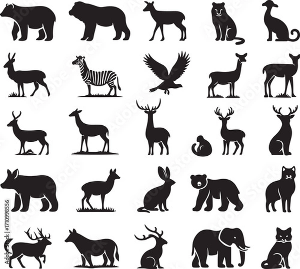Fototapeta A large set of animals of the world