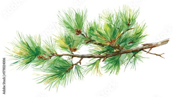 Fototapeta Elegant Watercolor Pine Branch on White Background for Creative Projects
