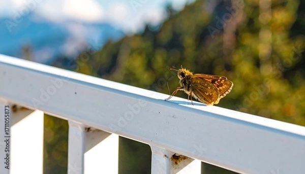 Fototapeta A small, golden-brown skipper butterfly rests on a white metal railing, showcasing a serene outdoor setting with a blurred backdrop of mountains and trees.