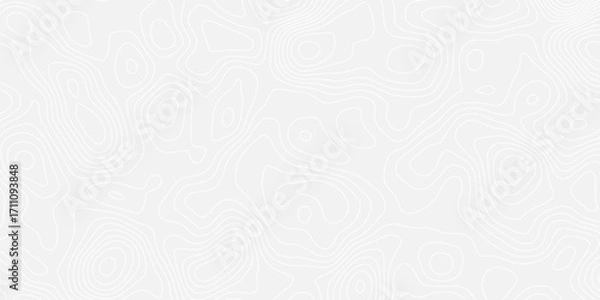 Fototapeta Abstract topographic wavy curve line background. Topography map pattern, Geographic curved relief. Topographic lines background. Vector illustration.
