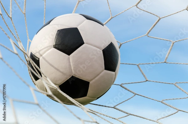 Obraz Soccer football in Goal net with the sky field.