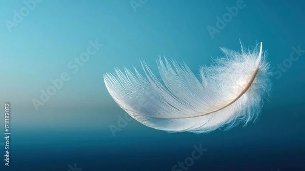 Obraz Soft White Feather Floating Gracefully Against a Blue Background