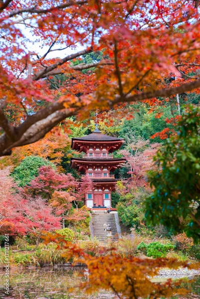 Obraz 京都　浄瑠璃寺（じょうるりじ）の三重塔と紅葉