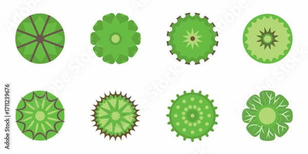 Fototapeta Collection of eight stylized green plant and tree top view icons with geometric patterns