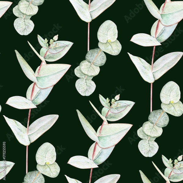 Fototapeta Eucalyptus branches with pointed and round leaves watercolor seamless pattern on dark background. Hand-painted art ideal for textile, natural cosmetics branding, packaging, fabric, eco decor